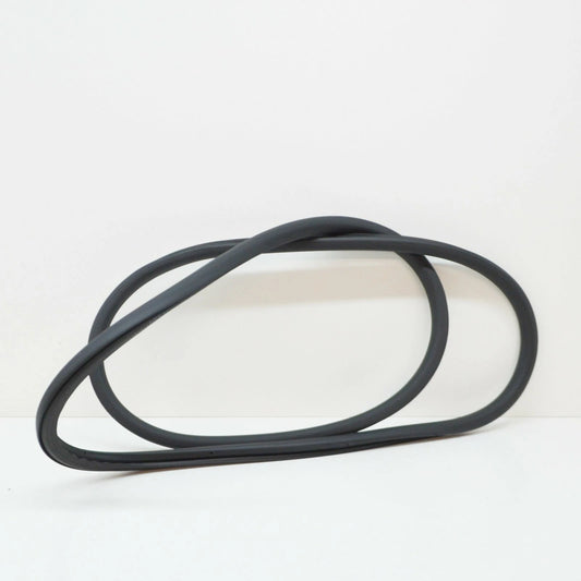 NEW VOLKSWAGEN PASSAT B6 FRONT DOOR INNER SEAL 3C4867911C5AP