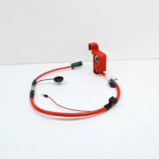 NEW BMW Z4 ROADSTER E89 POSITIVE BATTERY CABLE 61129165850 9165850 ORIGINAL