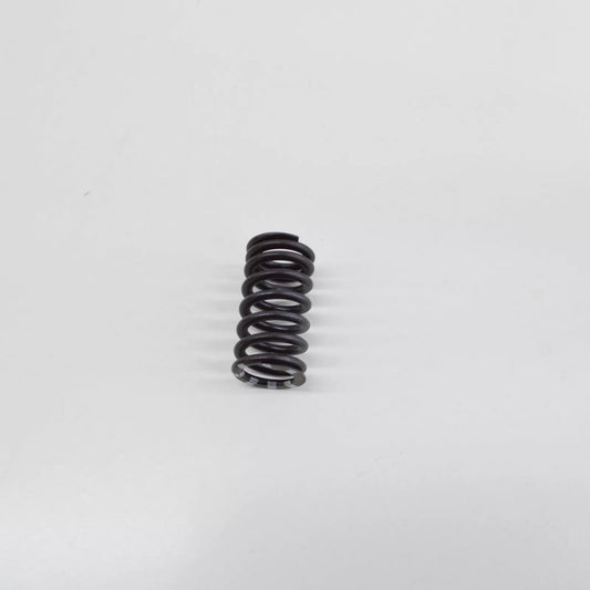 NEW AUDI VW AUDI VALVE SPRING INLET 06E109623H ORIGINAL