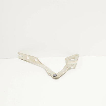 NEW VOLKSWAGEN TIGUAN MK2 FRONT LEFT BONNET HOOD HINGE 5NN823301