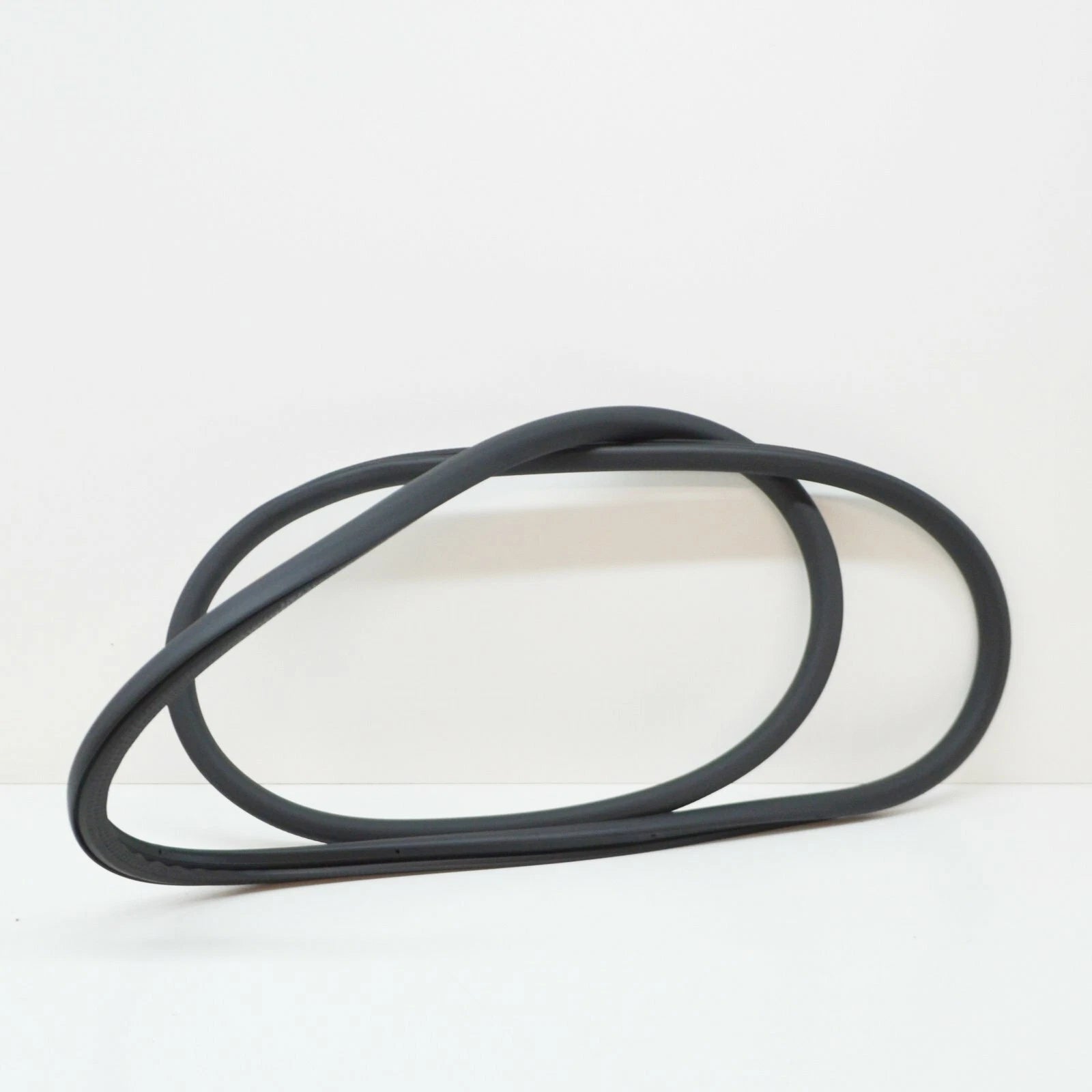 NEW VOLKSWAGEN PASSAT B6 FRONT DOOR INNER SEAL 3C4867911C5AP