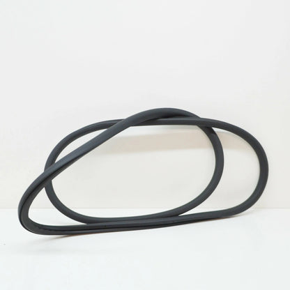 NEW VOLKSWAGEN PASSAT B6 FRONT DOOR INNER SEAL 3C4867911C5AP