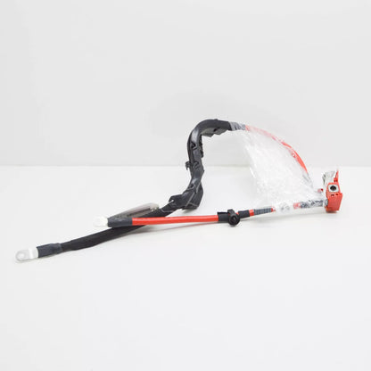 NEW BMW 5 G30 POSITIVE BATTERY CABLE 5A69273 61125A69273 ORIGINAL