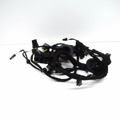 NEW AUDI R8 SPYDER 4S FRONT RIGHT DOOR WIRING HARNESS 4S8971030G ORIGINAL