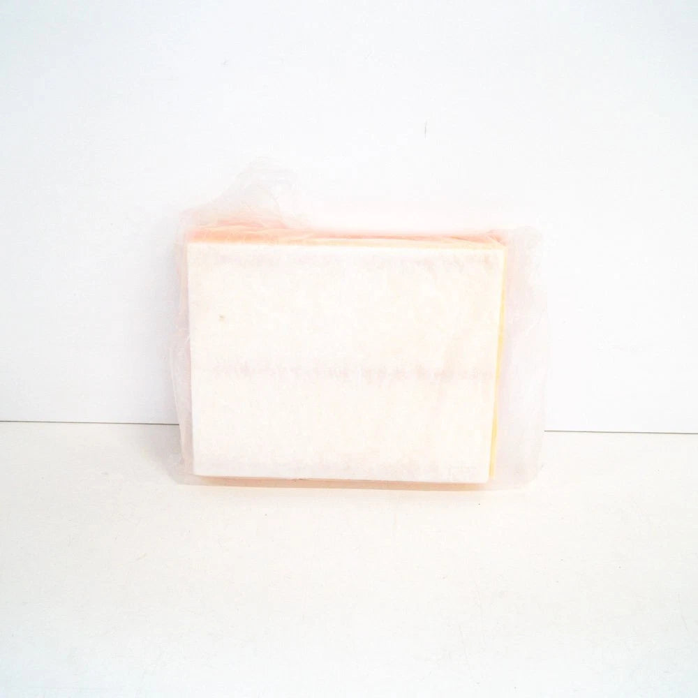 NEW BMW X5 E70 3.0SD AIR FILTER ELEMENT 13717798342 ORIGINAL