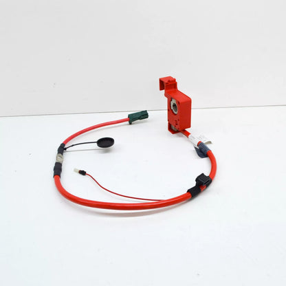 NEW BMW Z4 ROADSTER E89 POSITIVE BATTERY CABLE 61129165850 9165850 ORIGINAL