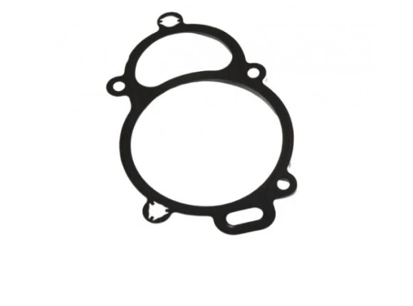 NEW VOLKSWAGEN BEETLE A5 CAMSHAFT ADJUSTER MODULE GASKET SEAL 03L145215J