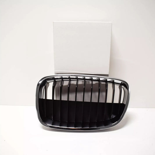 NEW BMW 1 F20 FRONT RADIATOR LEFT KIDNEY GRILLE 51137324389 7324389 ORIGINAL