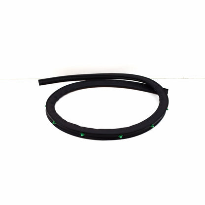 NEW VOLKSWAGEN ID.3 E11 REAR LEFT DOOR OUTER SEAL 10A839699