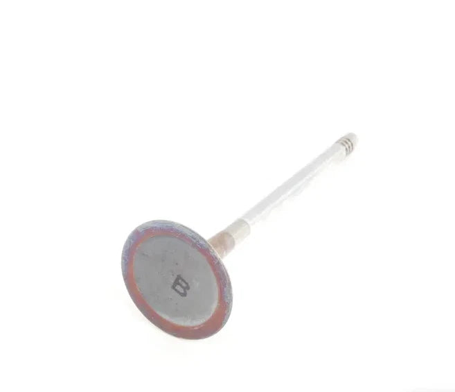 NEW AUDI A4 B7 ENGINE INTAKE VALVE 079109601B ORIGINAL