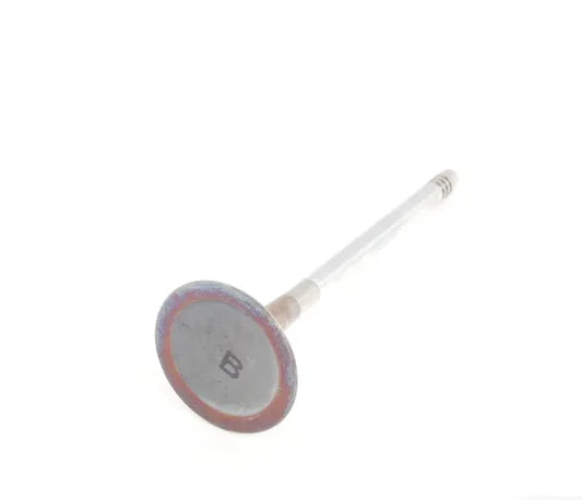 NEW AUDI A4 B7 ENGINE INTAKE VALVE 079109601B ORIGINAL