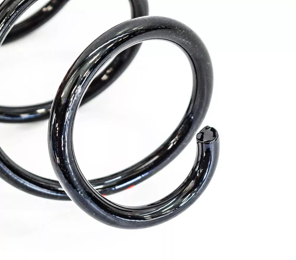 NEW VOLKSWAGEN TIGUAN FRONT RIGHT COIL SPRING 5N0411105T ORIGINAL