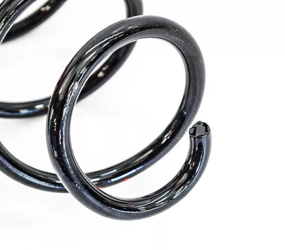 NEW VOLKSWAGEN TIGUAN FRONT RIGHT COIL SPRING 5N0411105T ORIGINAL