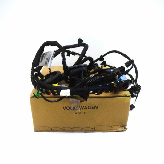 NEW AUDI R8 SPYDER 4S FRONT RIGHT DOOR WIRING HARNESS 4S8971030G ORIGINAL