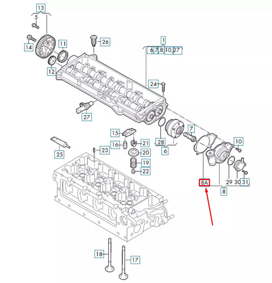 NEW VOLKSWAGEN BEETLE A5 CAMSHAFT ADJUSTER MODULE GASKET SEAL 03L145215J