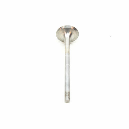 NEW VOLKSWAGEN TIGUAN AD ENGINE EXHAUST VALVE 06K109611D