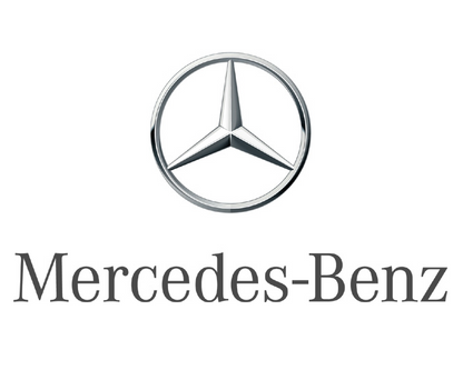 NEW MERCEDES-BENZ C W203 REAR LEFT DOOR GRAB RAIL A20381017517376 ORIGINAL