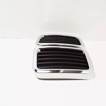 NEW BMW 5 E28 FRONT RADIATOR KIDNEY GRILLE 51131873253 1873253 ORIGINAL