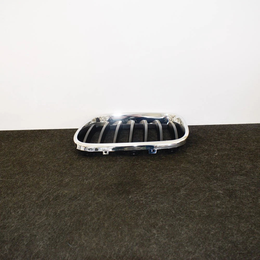 NEW BMW X3 F25 FRONT LEFT GRILLE 51117210725 7210725 ORIGINAL