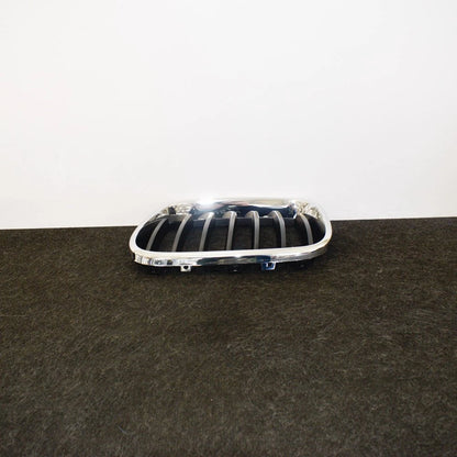 NEW BMW X3 F25 FRONT LEFT GRILLE 51117210725 7210725 ORIGINAL