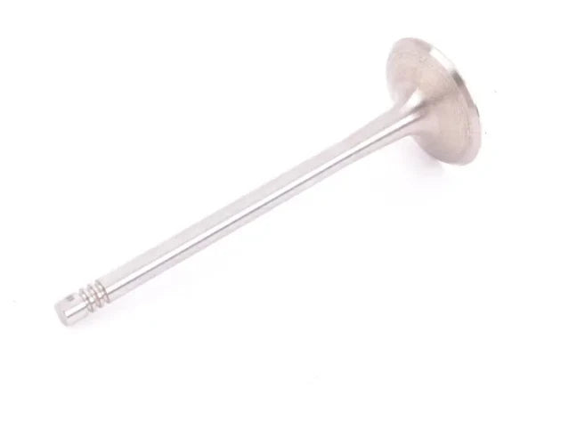 NEW VOLKSWAGEN BEETLE A5 INTAKE VALVE 06K109601 ORIGINAL