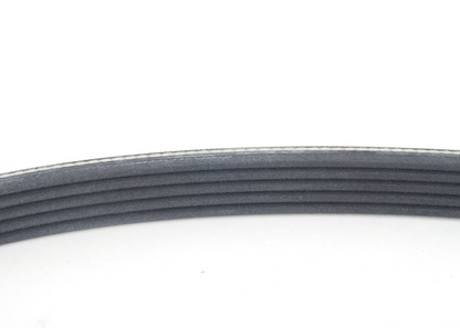 new bmw 7 e38 v ribbed belt pk5 x 1004 11287636376 7636376 original