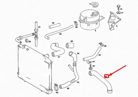 NEW MERCEDES-BENZ SL R107 RADIATOR BOTTOM HOSE A1075010082 ORIGINAL