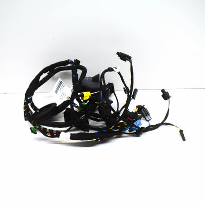NEW AUDI R8 SPYDER 4S FRONT RIGHT DOOR WIRING HARNESS 4S8971030G ORIGINAL