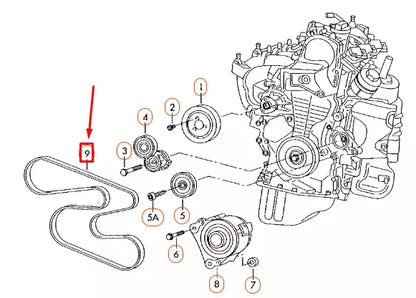 NEW VOLKSWAGEN EOS V-RIBBED BELT 6Q0260849E ORIGINAL