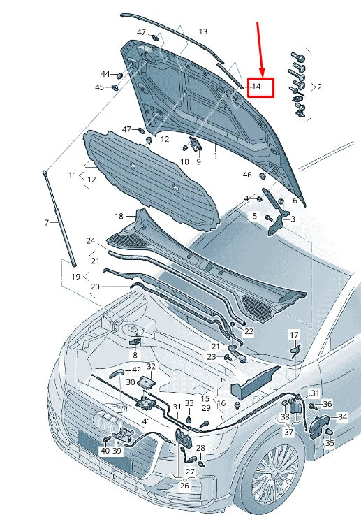 NEW AUDI Q2 GA RIGHT HOOD IMPACT PROTECTION 81A823126